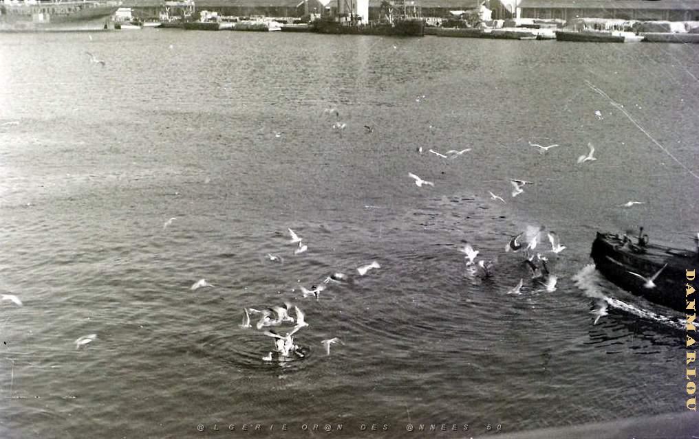 ORAN 1934 1937  (10).JPG